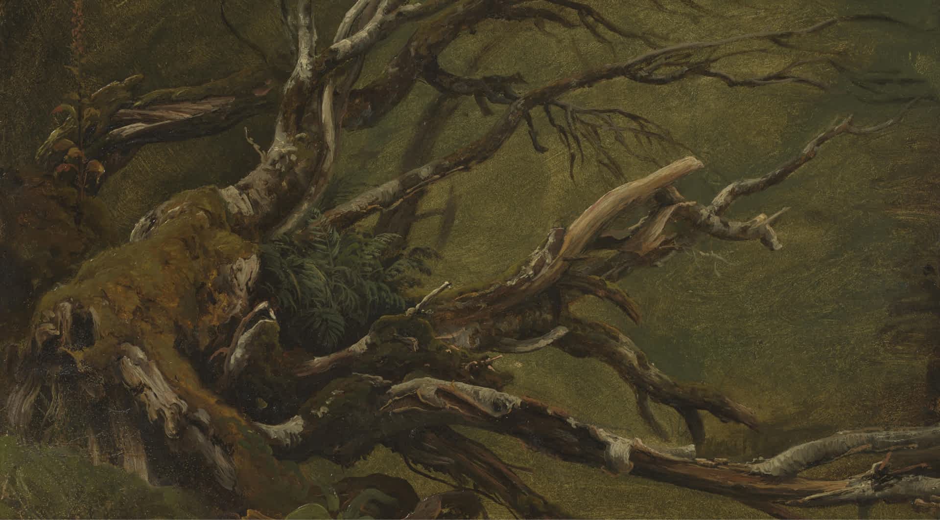 Calligraphy & Islamic Ilumination