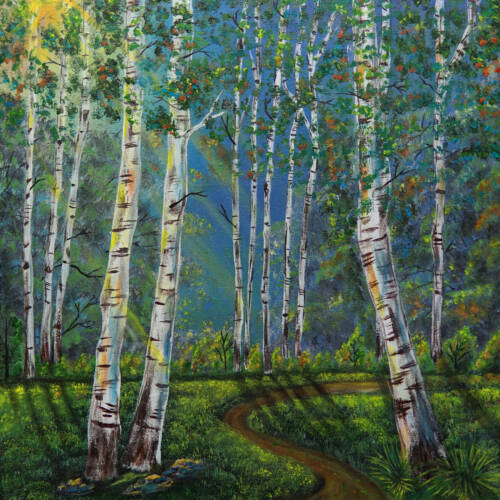 Birch Trees of Kashmir
