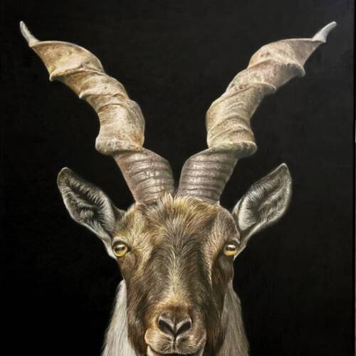 Crowns of The Mountains